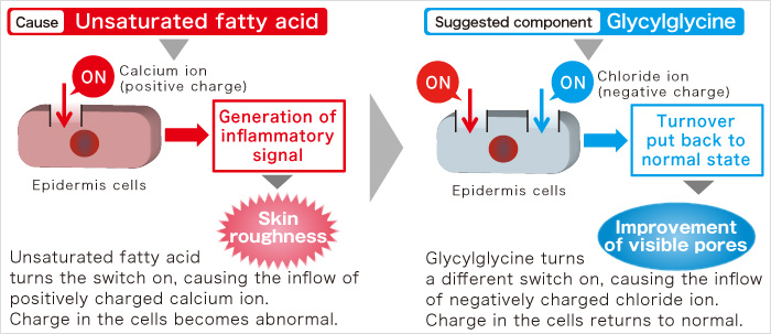 Cause Unsaturated fatty acid Suggested component Glycylglycine