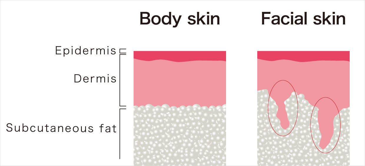 Body skin Facial skin