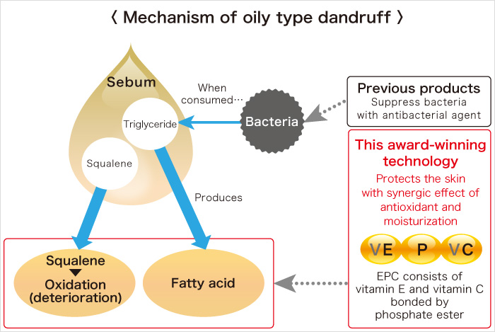 Mechanism of oily type dandruff