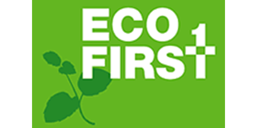 The Promise of Eco-first