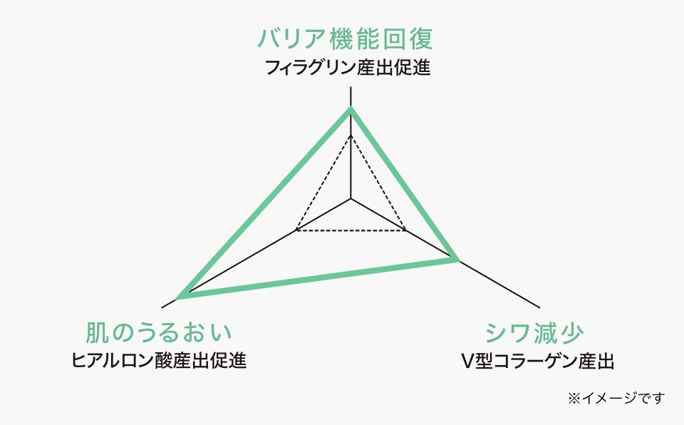 たるみの要因にアプローチ。資生堂が独自に開発した手技と成分。