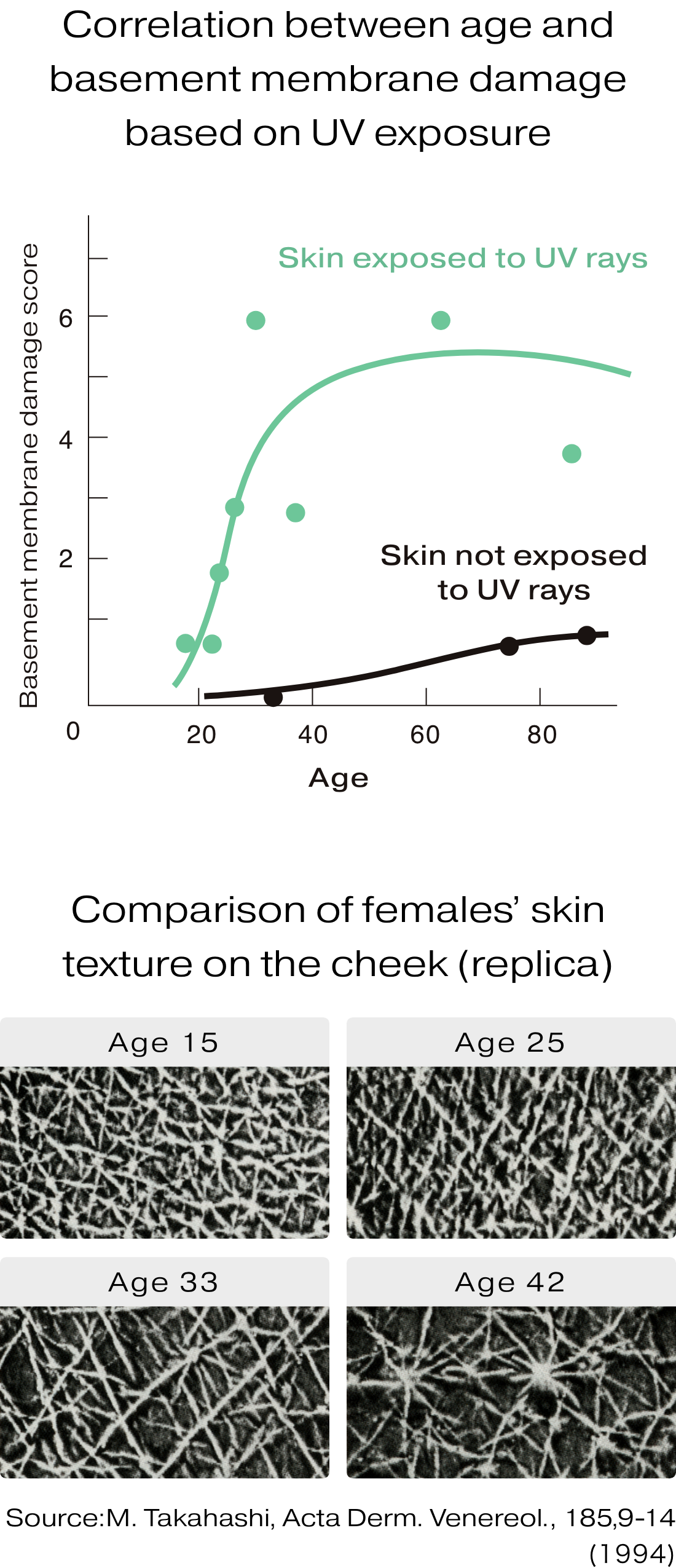 Discovery1: Damage to the Basement Membrane Begins in Your Late 20s