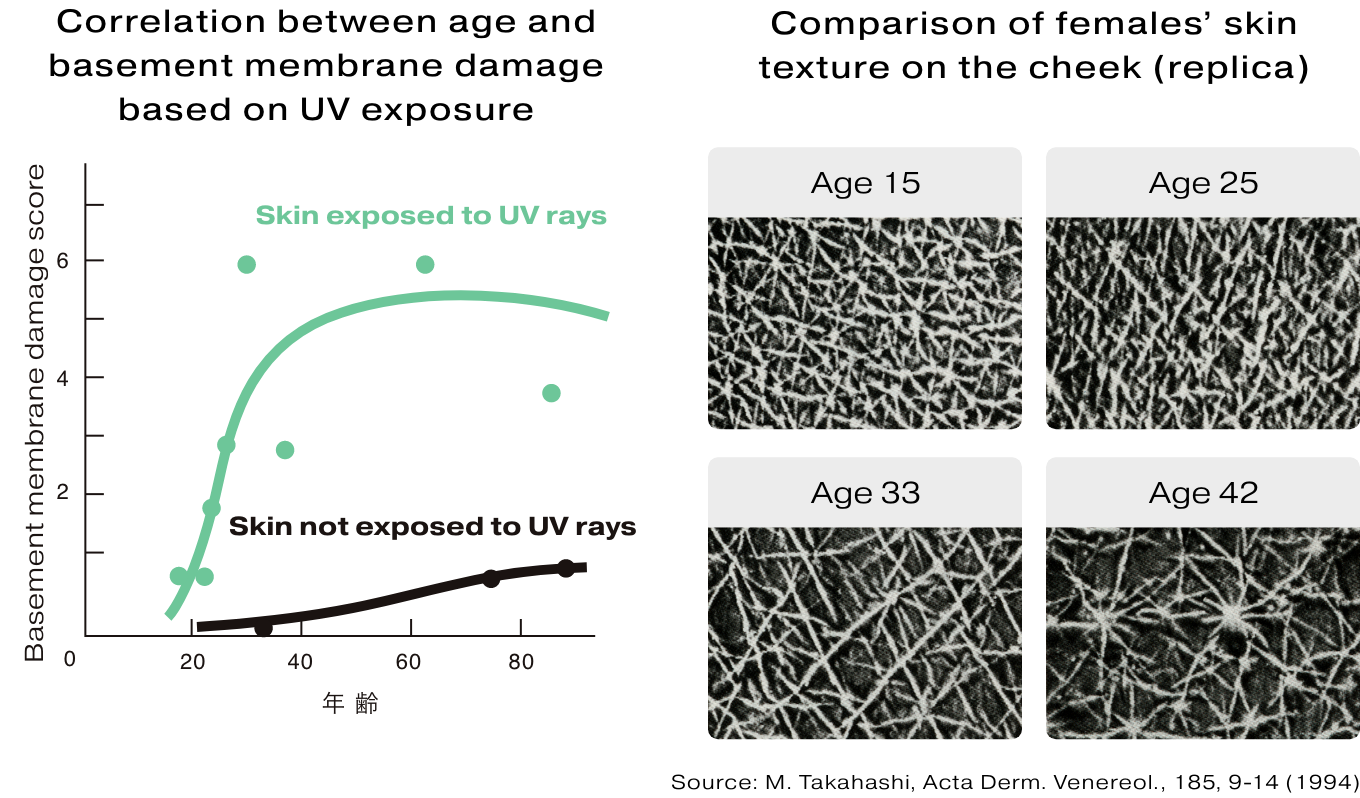 Discovery1: Damage to the Basement Membrane Begins in Your Late 20s