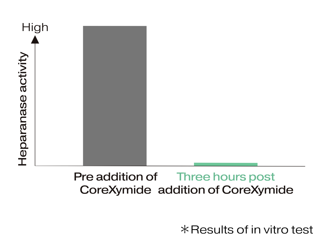 Simultaneously suppressing two enzymes that damage the basement membrane.