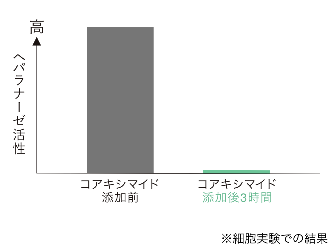 基底膜にダメージを与える2大酵素を同時に抑制。