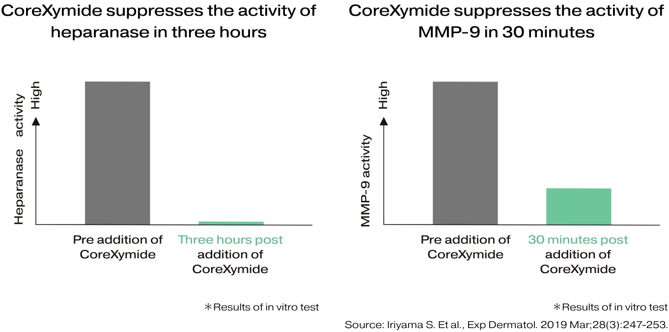 Simultaneously suppressing two enzymes that damage the basement membrane.