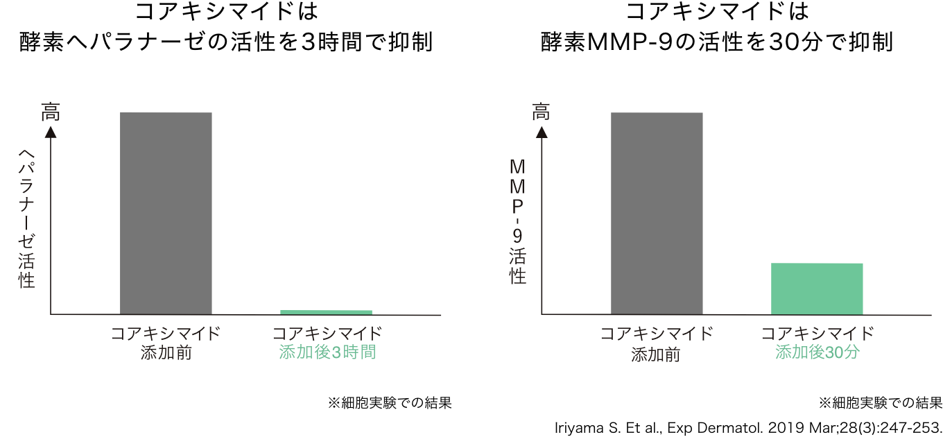 基底膜にダメージを与える2大酵素を同時に抑制。