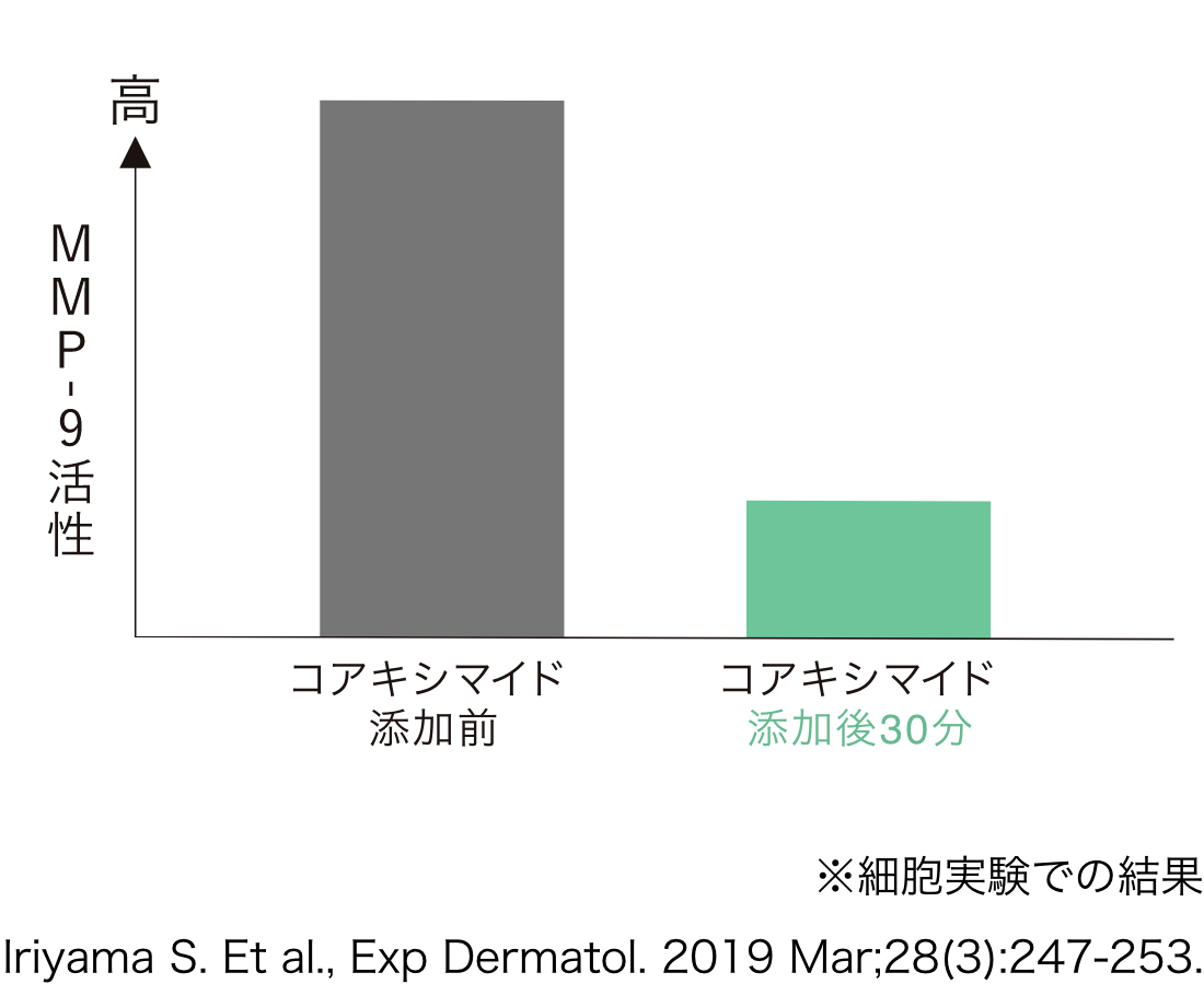 コアキシマイドは酵素MMP-9の活性を30分で抑制