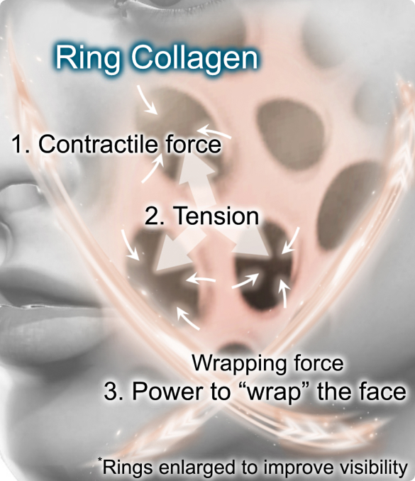 How Ring Collagen Helps Maintain Facial Shape
