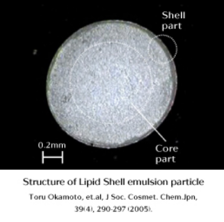 Structure of Lipid Shell emulsion particle