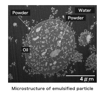 Microstructure of emulsified particle