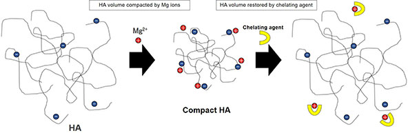 Shape-Shifting HA Technology controls HA volume (image)