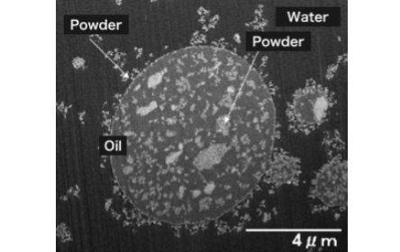 Microstructure of emulsified particle