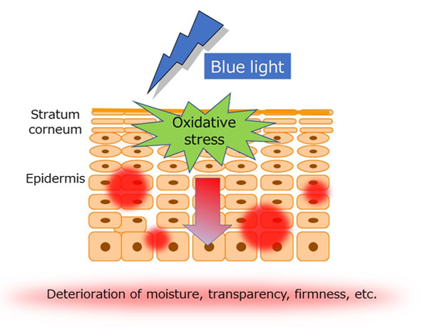 Impact of sunlight-intensity blue light on the skin (illustration)