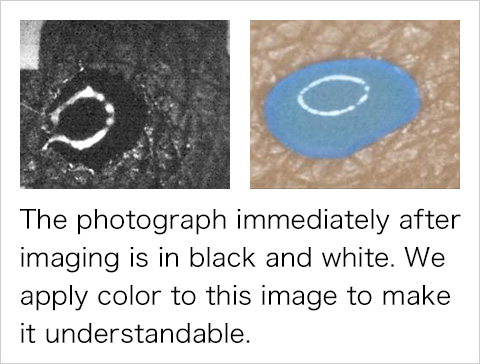 The photograph immediately after imaging is in black and white. We apply color to this image to make it understandable.