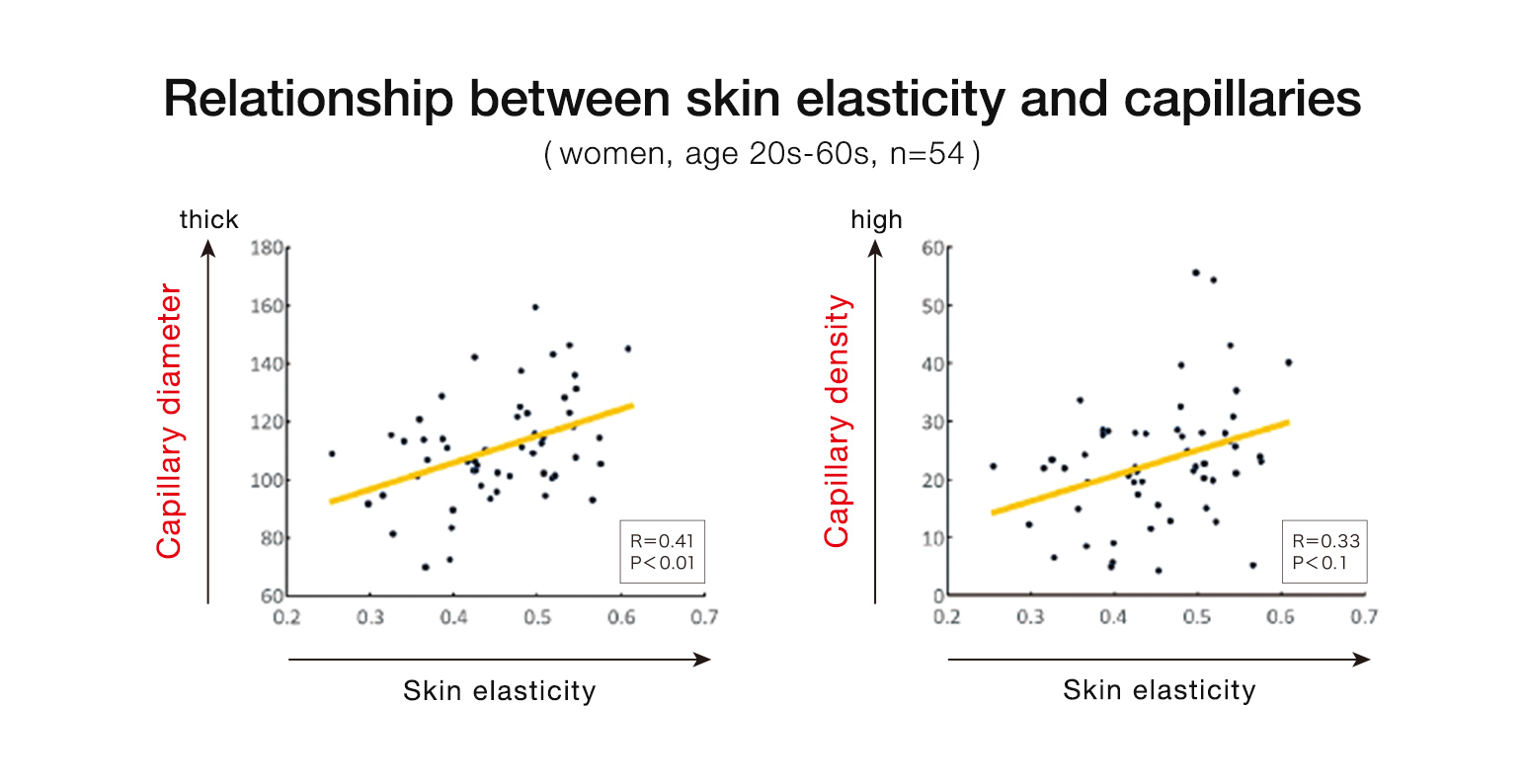 Relationship between skin elasticity and capillaries