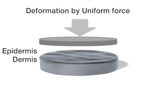 Deformation by uniform force