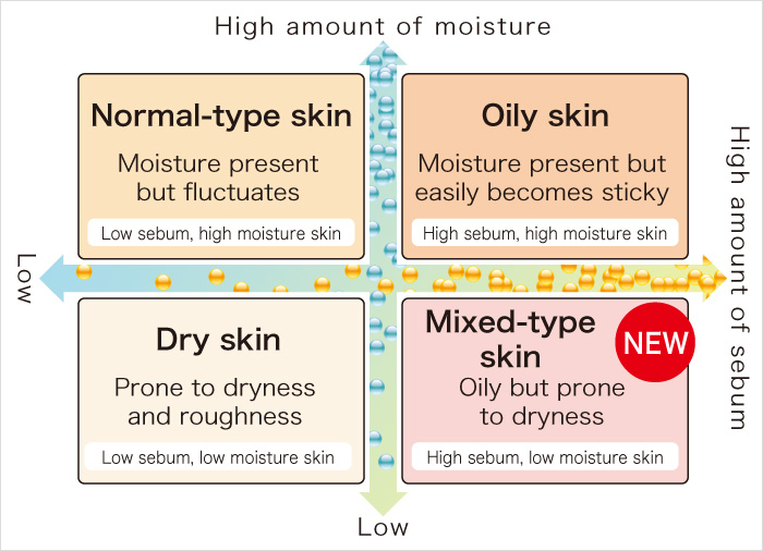 Normal-type skin Oily skin Dry skin Mixed-type skin