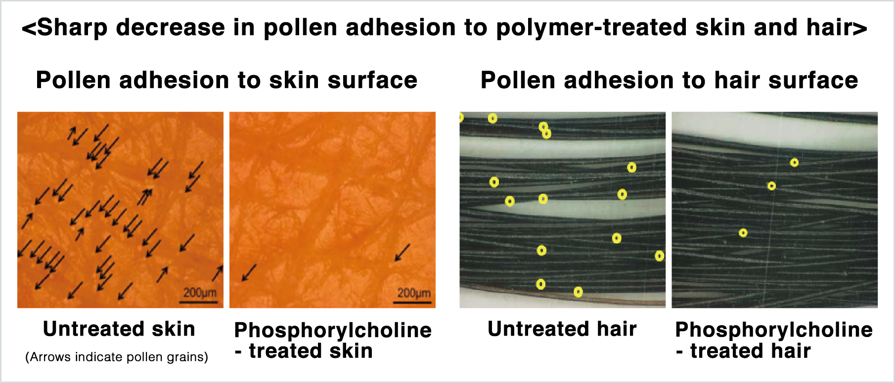 Sharp decrease in pollen adhesion to polymer-treated skin and hair 