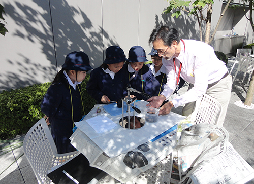 Environmental study in the roof garden at the Ginza Office