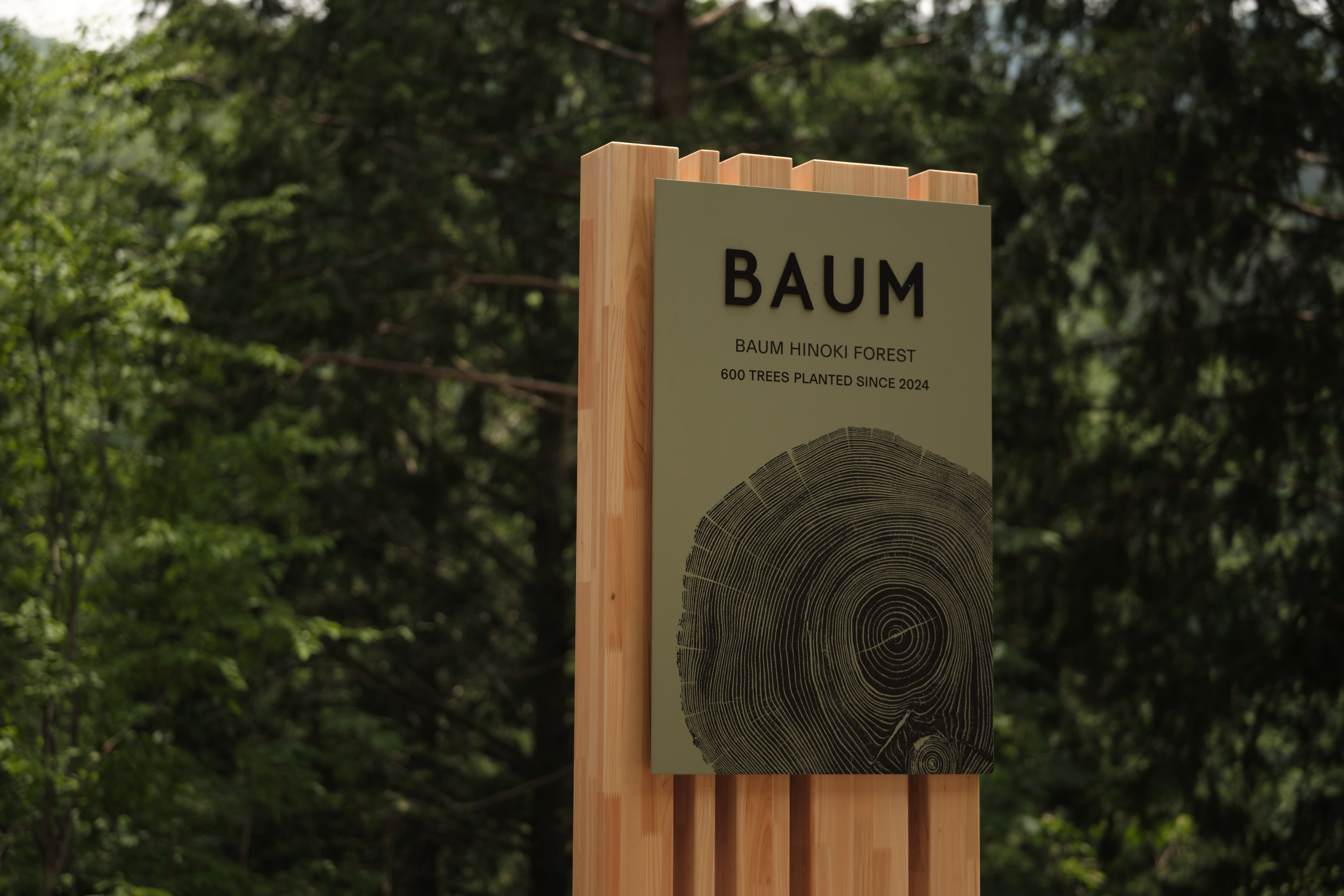BAUM