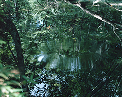 水鏡14, WM-61 / 2014