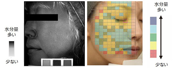 近赤外分光イメージングによって可視化された、皮膚の水分分布（右画像：下記関連論文(1)より抜粋、複数人の平均画像）