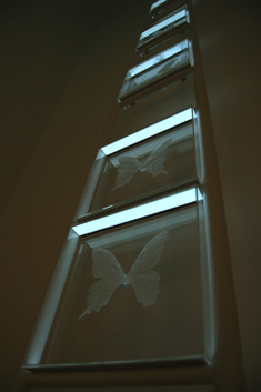 ≪Quartet -butterfly-≫　2011年