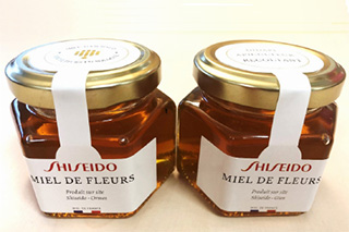 フランスの工場でのミツバチ保護