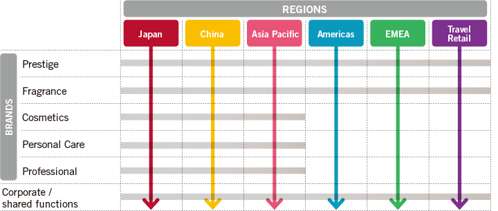 Region x Brand Matrix Organization