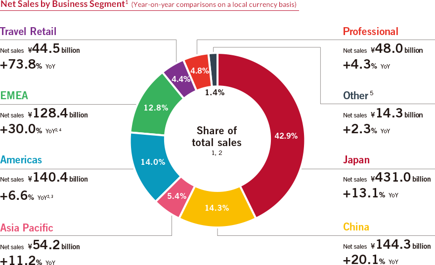 Net Sales by Business Segment1  (Year-on-year comparisons on a local currency basis)