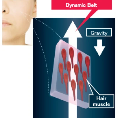 October 20, 2022 News Release: “Shiseido Discovers Skin's Anti-gravity System "Dynamic Belt”