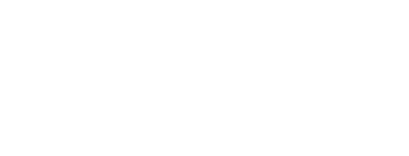 Advancing a society that embraces diversity through respect, and supports lives of beauty 