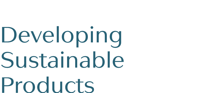 Developing Sustainable Products
