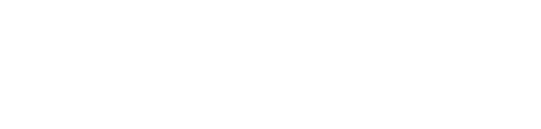 Trustworthy Governance