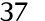 37