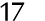 17