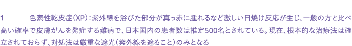 1          XP                                                                     500                                   